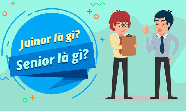 Fresher, Junior, Senior là gì? Yêu cầu và nhiệm vụ